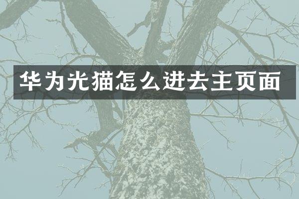 华为光猫怎么进去主页面