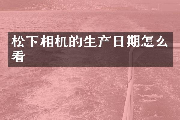 松下相机的生产日期怎么看