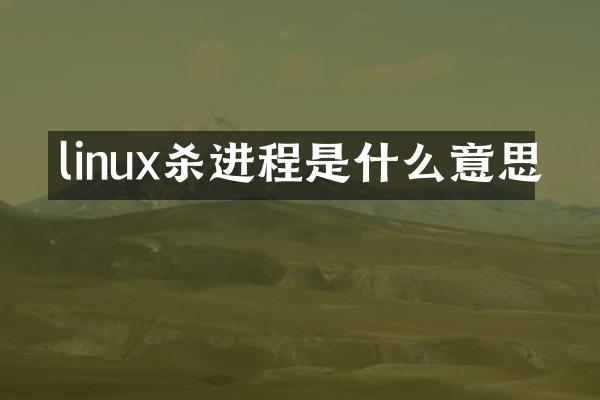 linux杀进程是什么意思