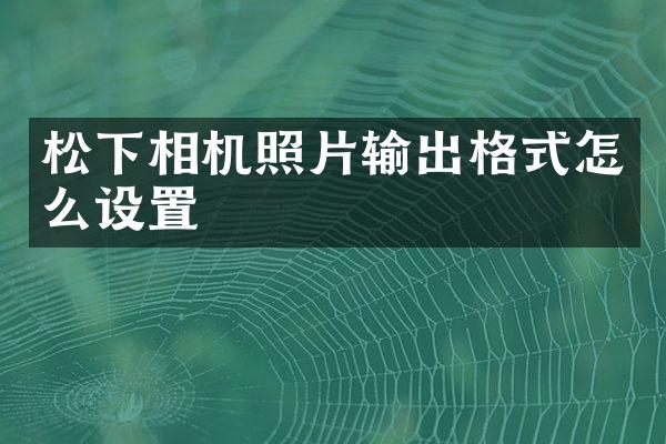 松下相机照片输出格式怎么设置