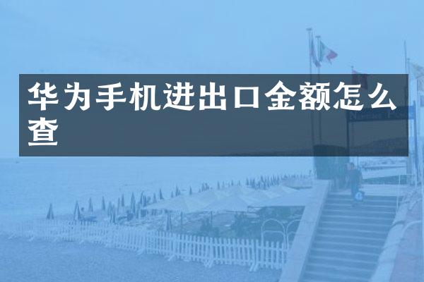 华为手机进出口金额怎么查