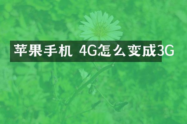 苹果手机 4G怎么变成3G