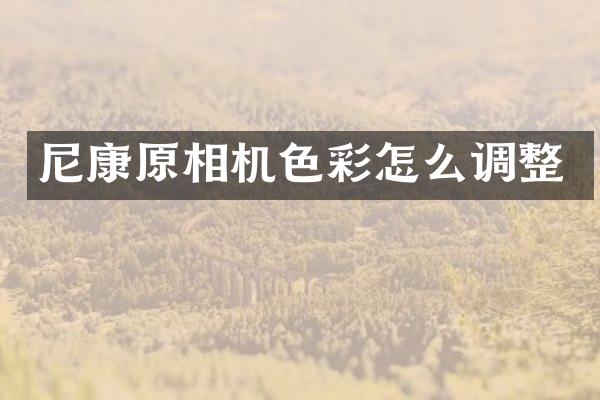 尼康原相机色彩怎么调整