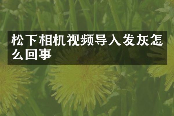 松下相机视频导入发灰怎么回事