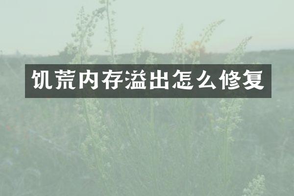 饥荒内存溢出怎么修复
