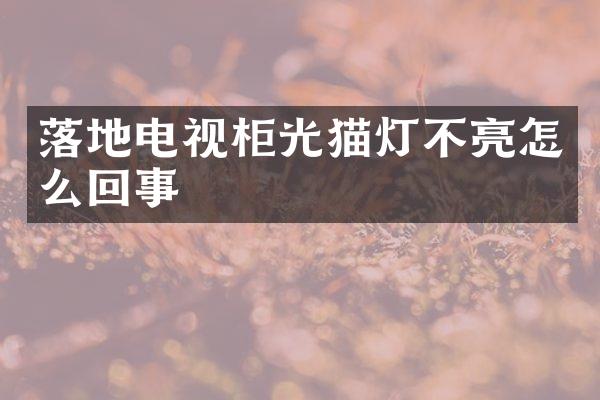 落地电视柜光猫灯不亮怎么回事