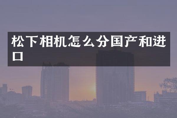 松下相机怎么分国产和进口
