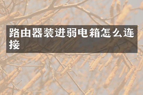 路由器装进弱电箱怎么连接