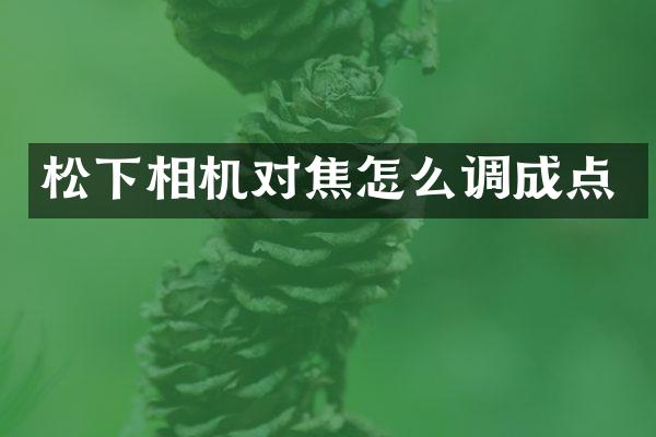 松下相机对焦怎么调成点