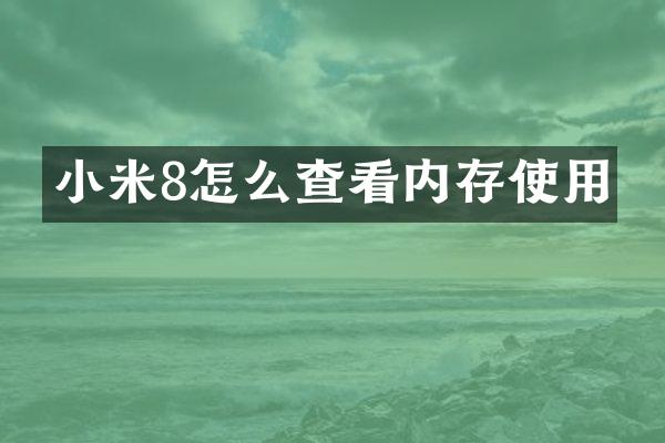 小米8怎么查看内存使用