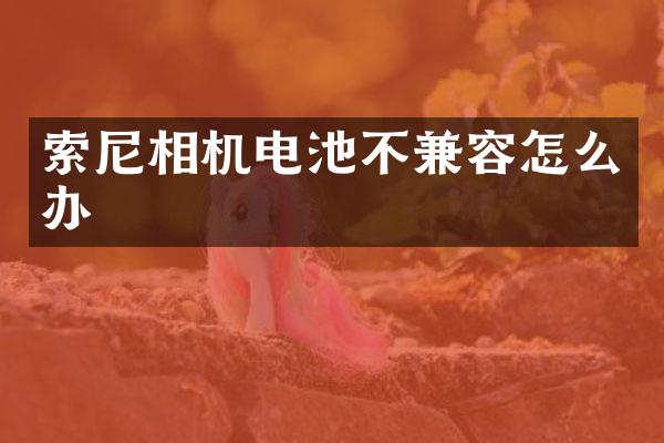 相机电池不兼容怎么办