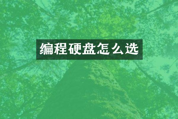 编程硬盘怎么选