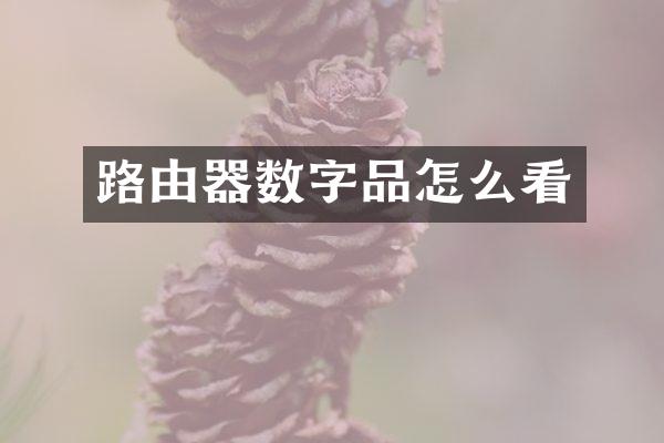 路由器数字品怎么看