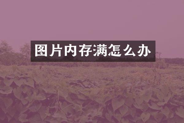 图片内存满怎么办