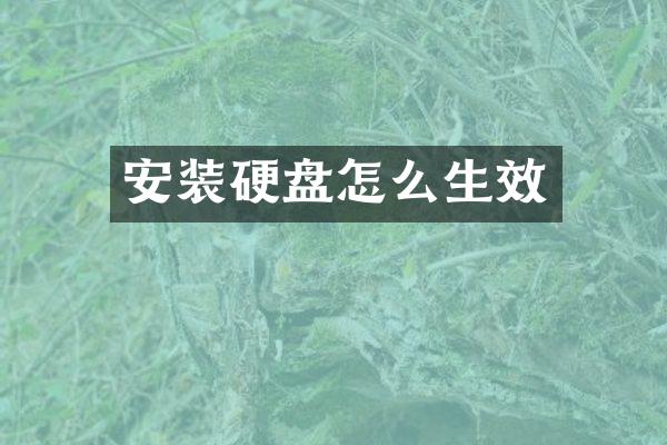 安装硬盘怎么生效