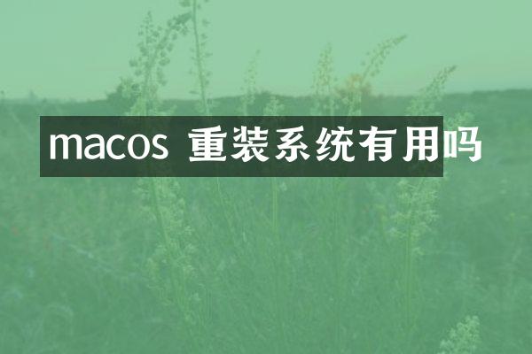 macos 重装系统有用吗