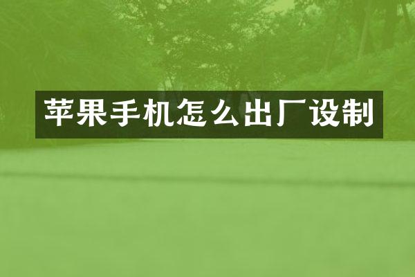苹果手机怎么出厂设制