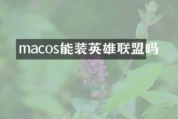 macos能装英雄联盟吗