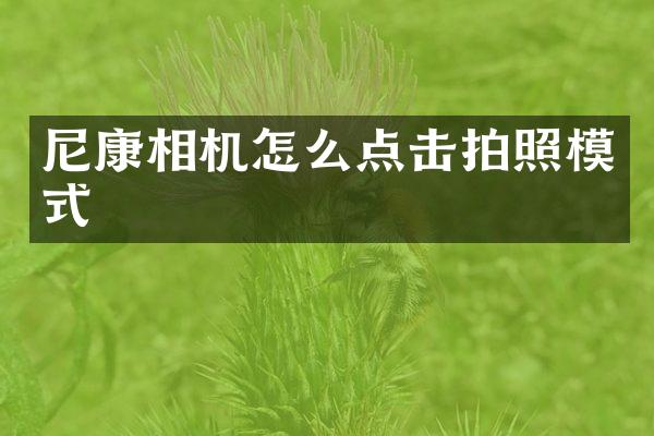 尼康相机怎么点击拍照模式