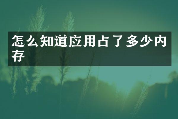 怎么知道应用占了多少内存