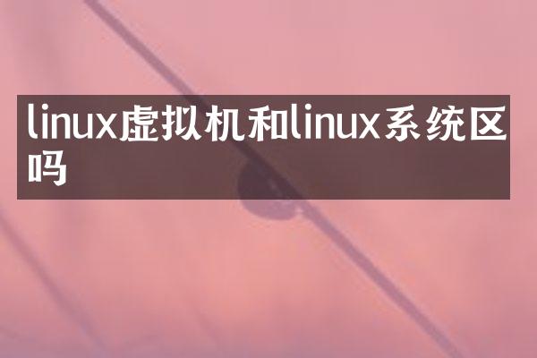 linux虚拟机和linux系统区别吗