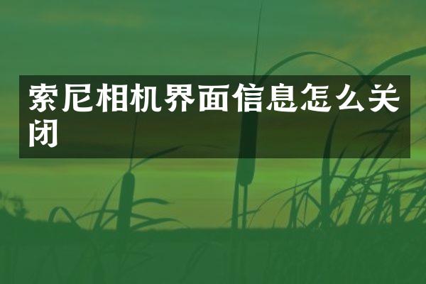 索尼相机界面信息怎么关闭