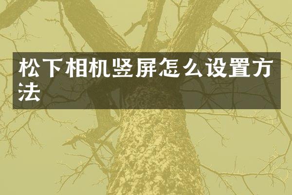 松下相机竖屏怎么设置方法