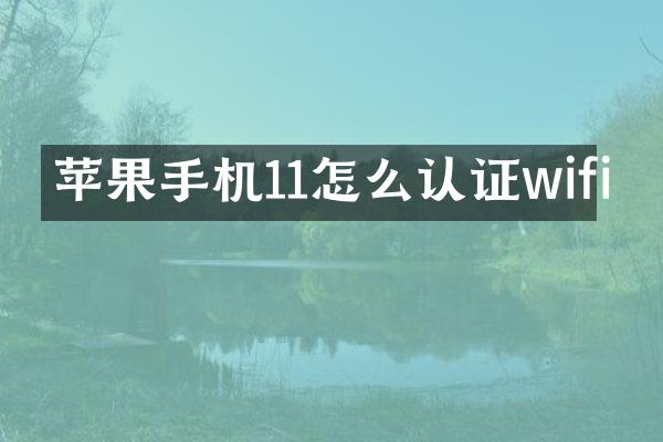 苹果手机11怎么认证wifi