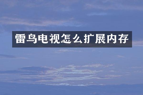 雷鸟电视怎么扩展内存