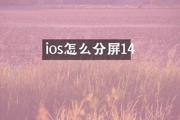ios怎么分屏14