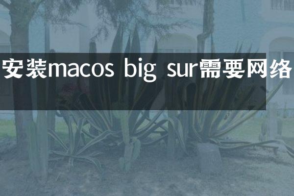 安装macos big sur需要网络吗