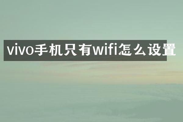 vivo手机只有wifi怎么设置