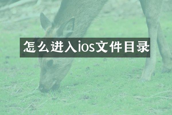 怎么进入ios文件目录