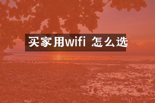 买家用wifi 怎么选