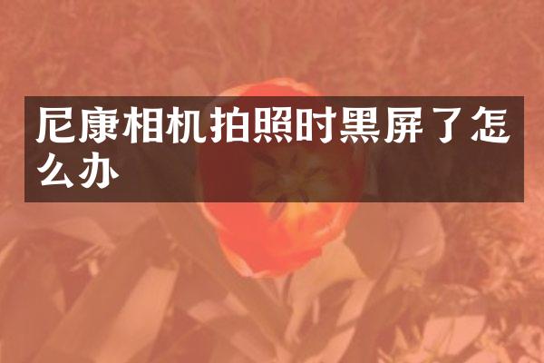 尼康相机拍照时黑屏了怎么办