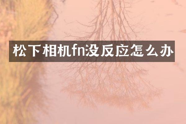 松下相机fn没反应怎么办