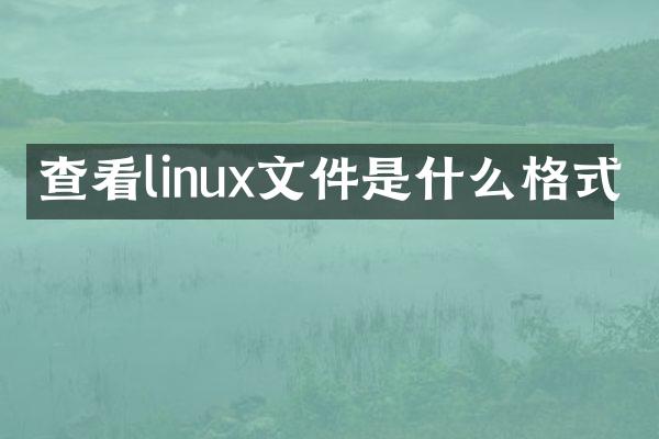查看linux文件是什么格式