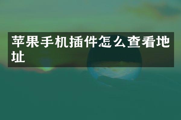 苹果手机插件怎么查看地址