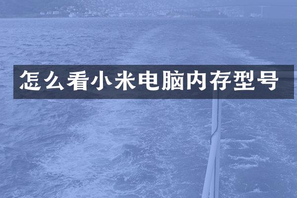 怎么看小米电脑内存型号
