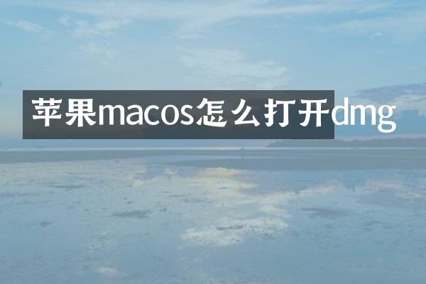苹果macos怎么打开dmg