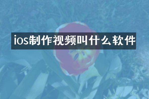 ios制作视频叫什么软件