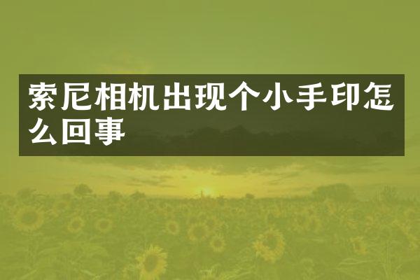 索尼相机出现个小手印怎么回事