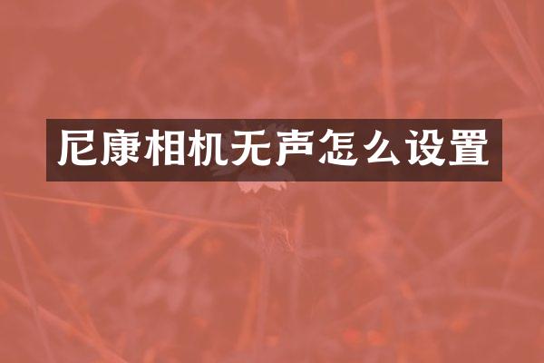尼康相机无声怎么设置