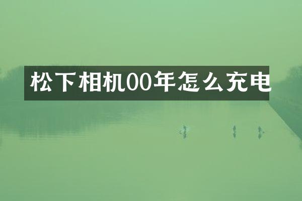 松下相机00年怎么充电