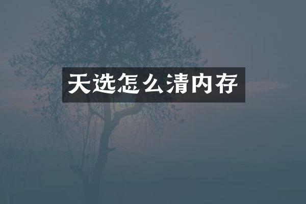 天选怎么清内存