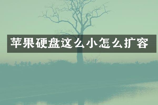 苹果硬盘这么小怎么扩容