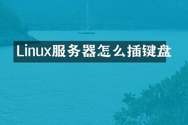 Linux服务器怎么插键盘