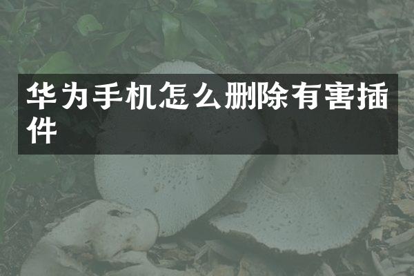 华为手机怎么删除有害插件