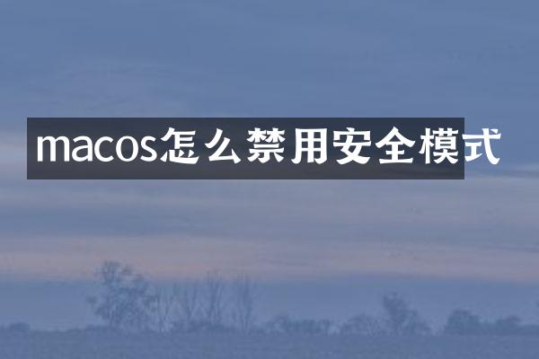 macos怎么禁用安全模式