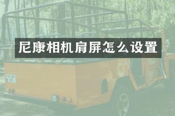 尼康相机肩屏怎么设置